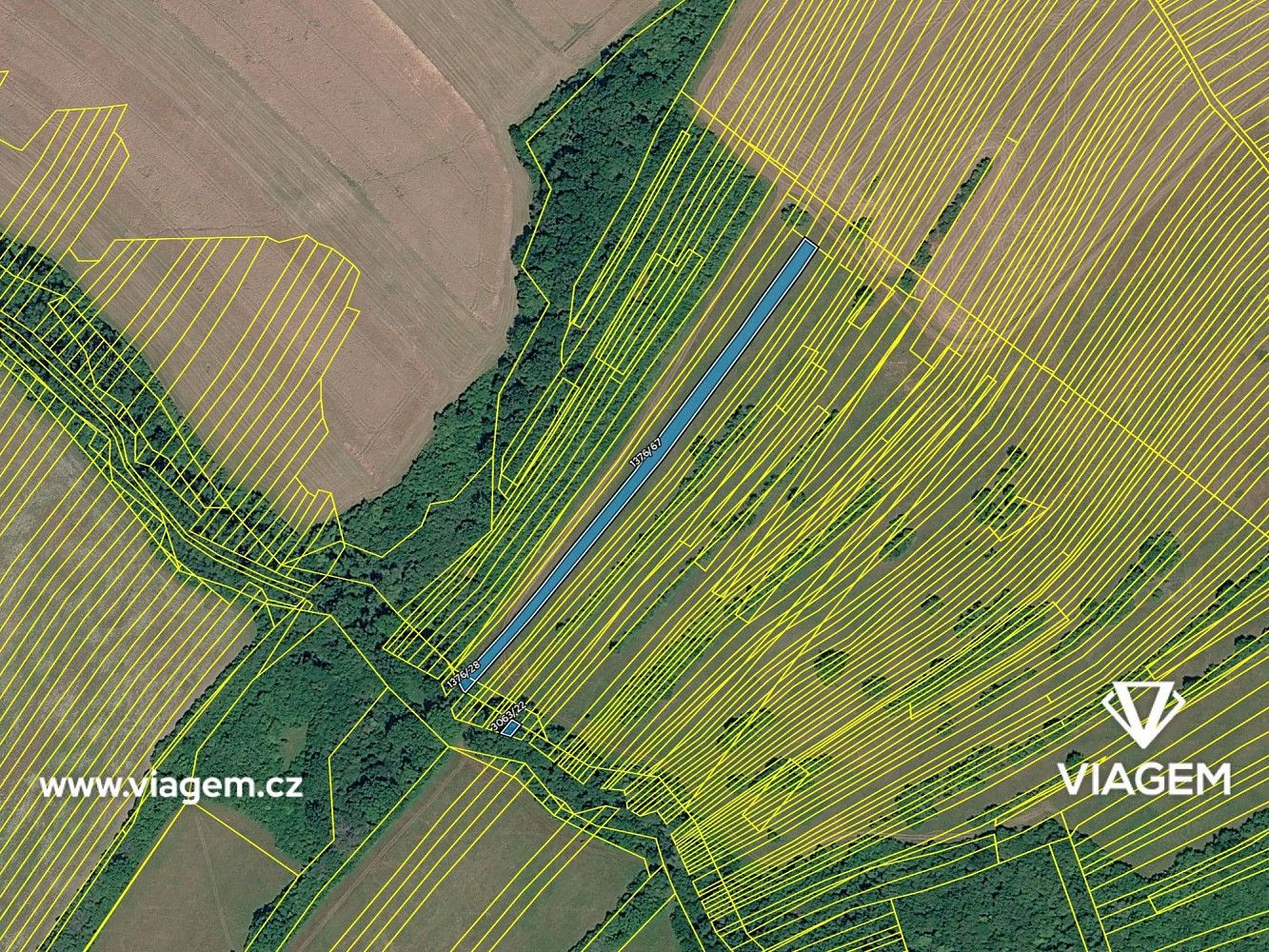 Zemědělský pozemek · Suchov, okres Hodonín, Jihomoravský kraj - 4