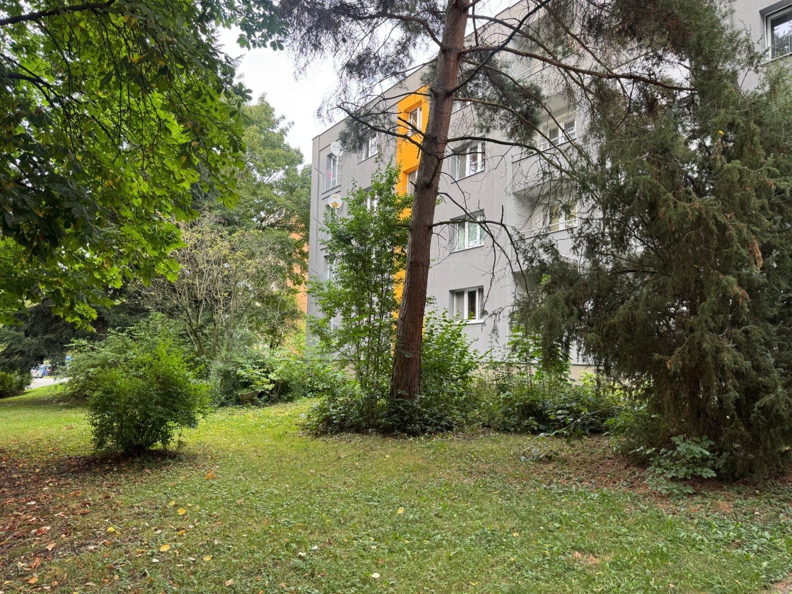 3+1, Volgogradská, Ostrava - Zábřeh nad Odrou, Moravskoslezský kraj, 68 m² - 2