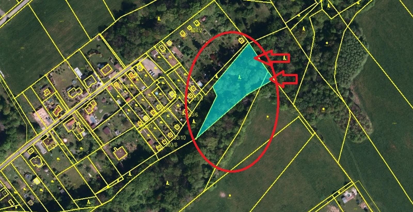 Lesy, Chotěbuz - Česká Kamenice, okres Karviná, Moravskoslezský kraj - 2