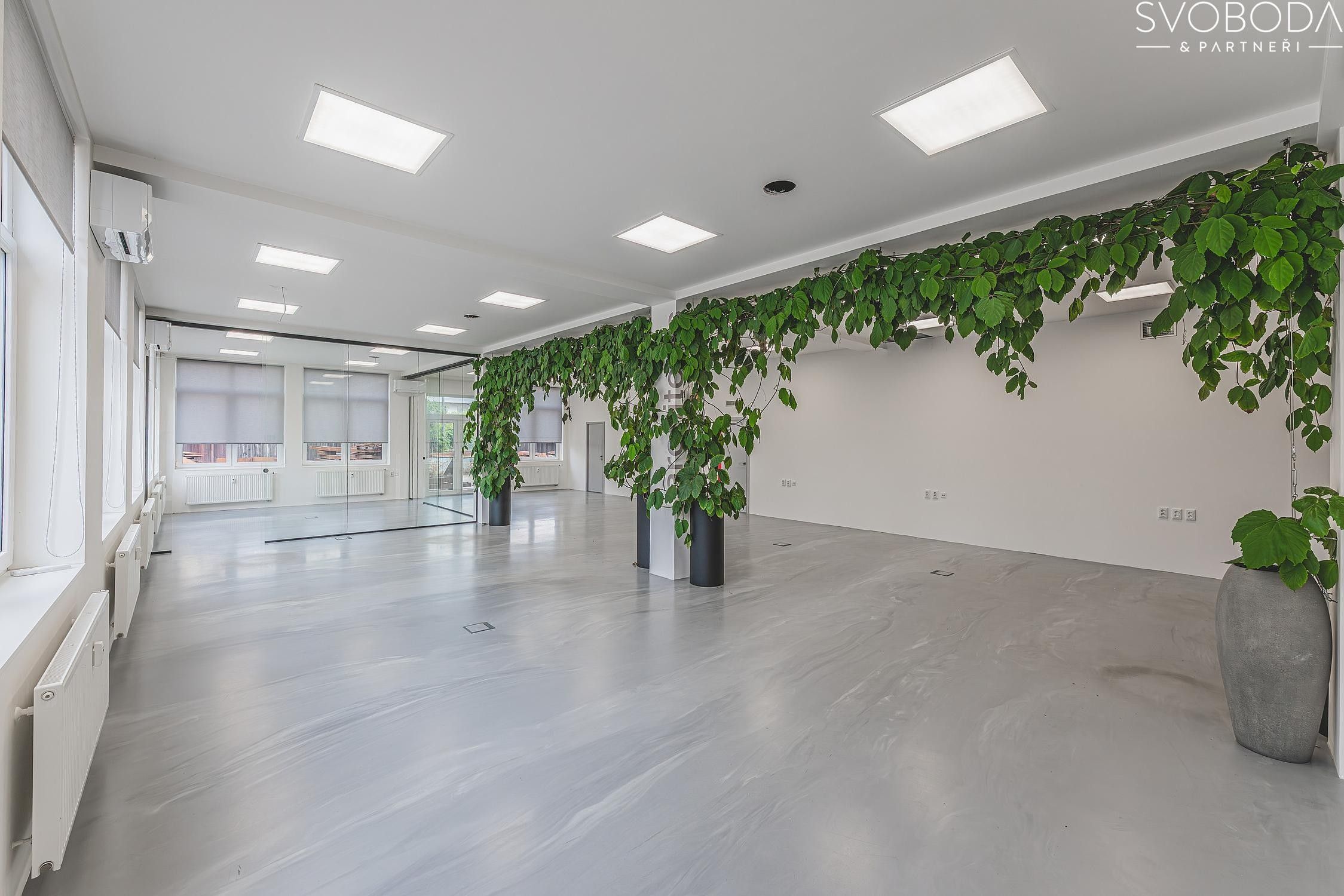 Pronájem obchodní prostory - Hradec Králové, 188 m²