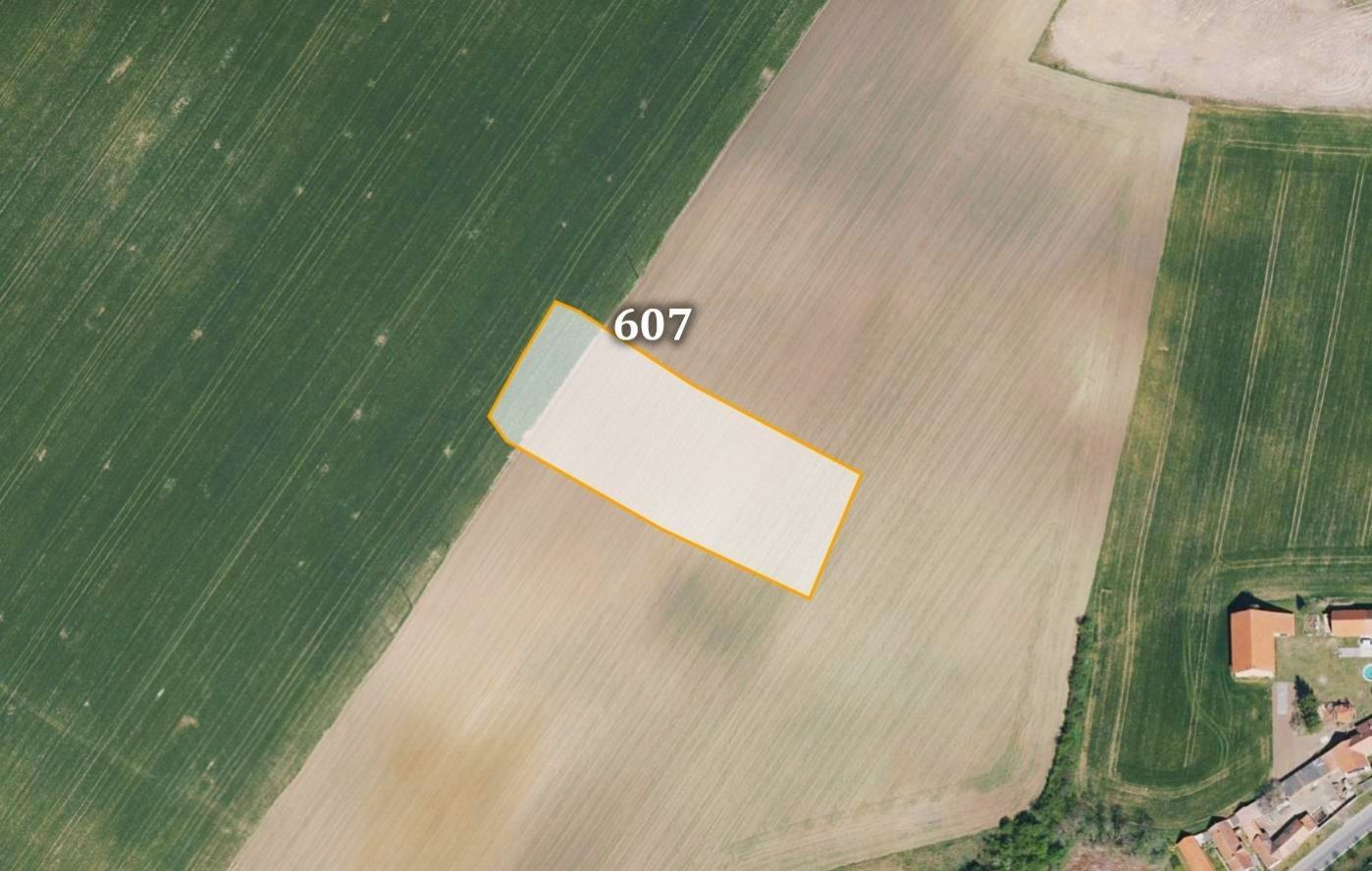Zemědělské pozemky, Jíkev, 5 215 m²