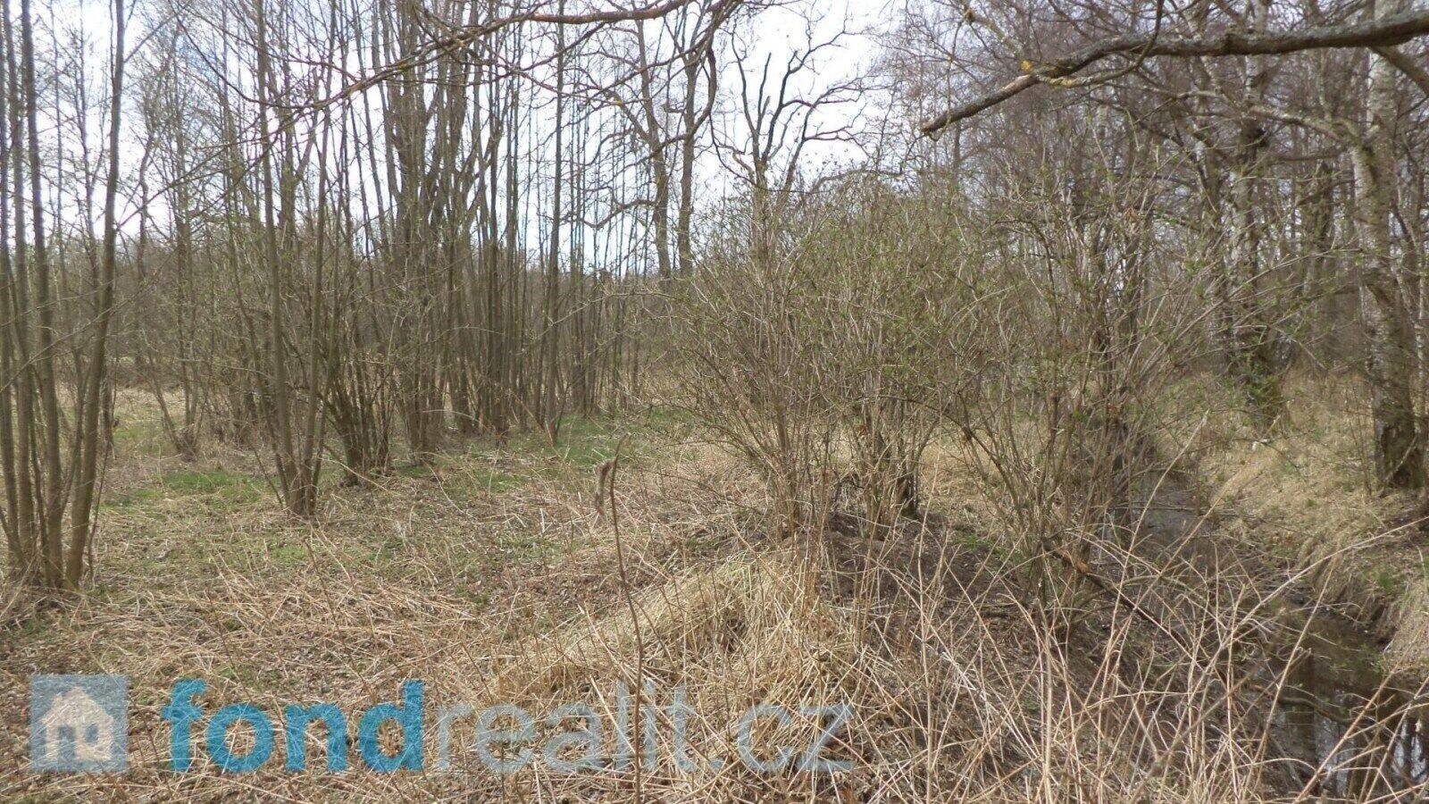 Ostatní, Lutová, Chlum u Třeboně, 19 m²