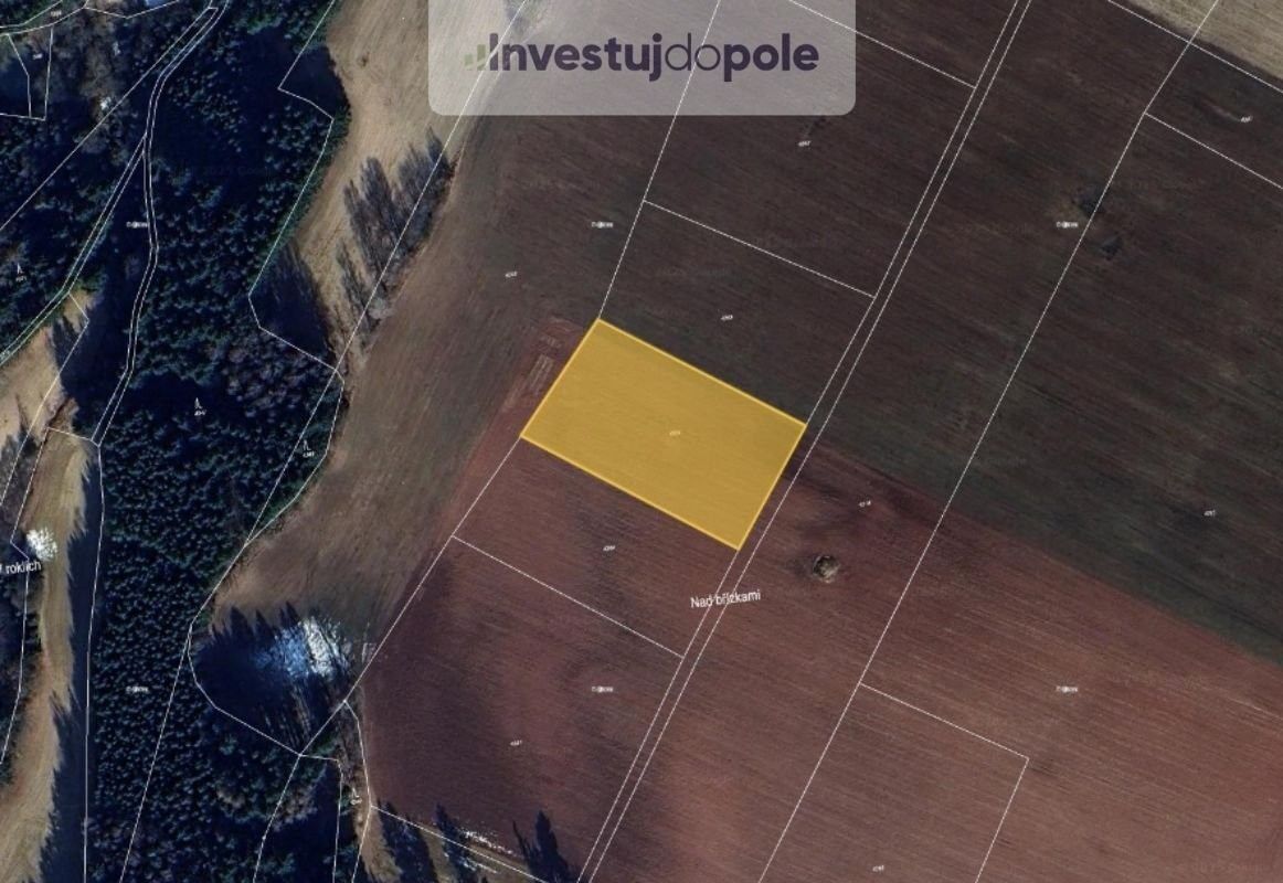 Prodej zemědělský pozemek - Nová Ves nad Popelkou, 512 71, 2 642 m²