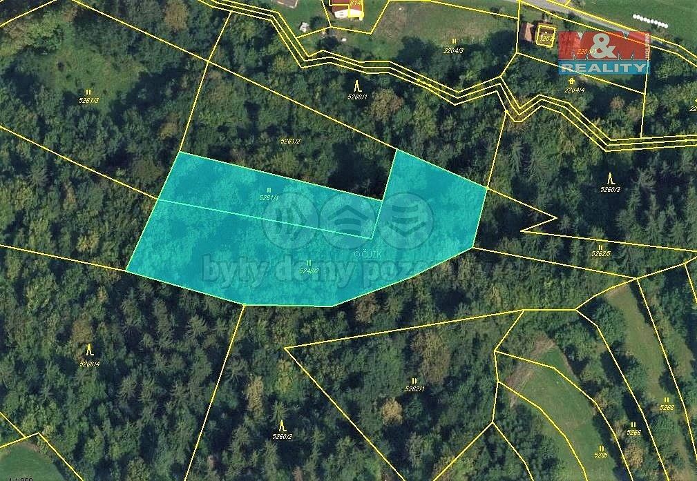 Les · Huslenky, okres Vsetín, Zlínský kraj - 4