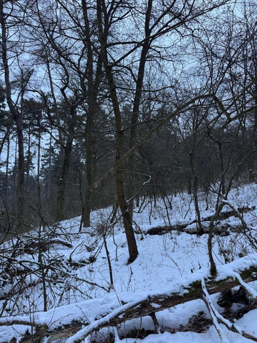 Pozemky pro bydlení, Kralupy nad Vltavou, 278 01 - 1