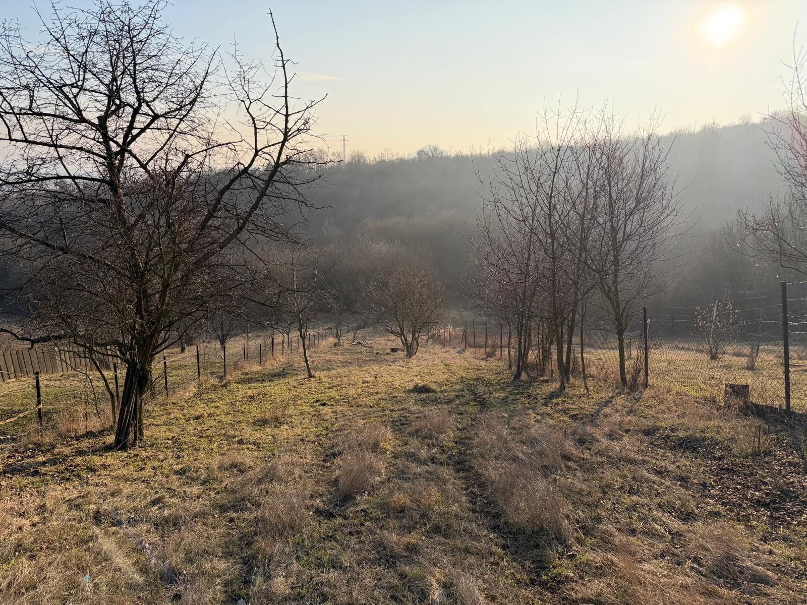 Zahrady, Pokratice, Litoměřice, 1 409 m²