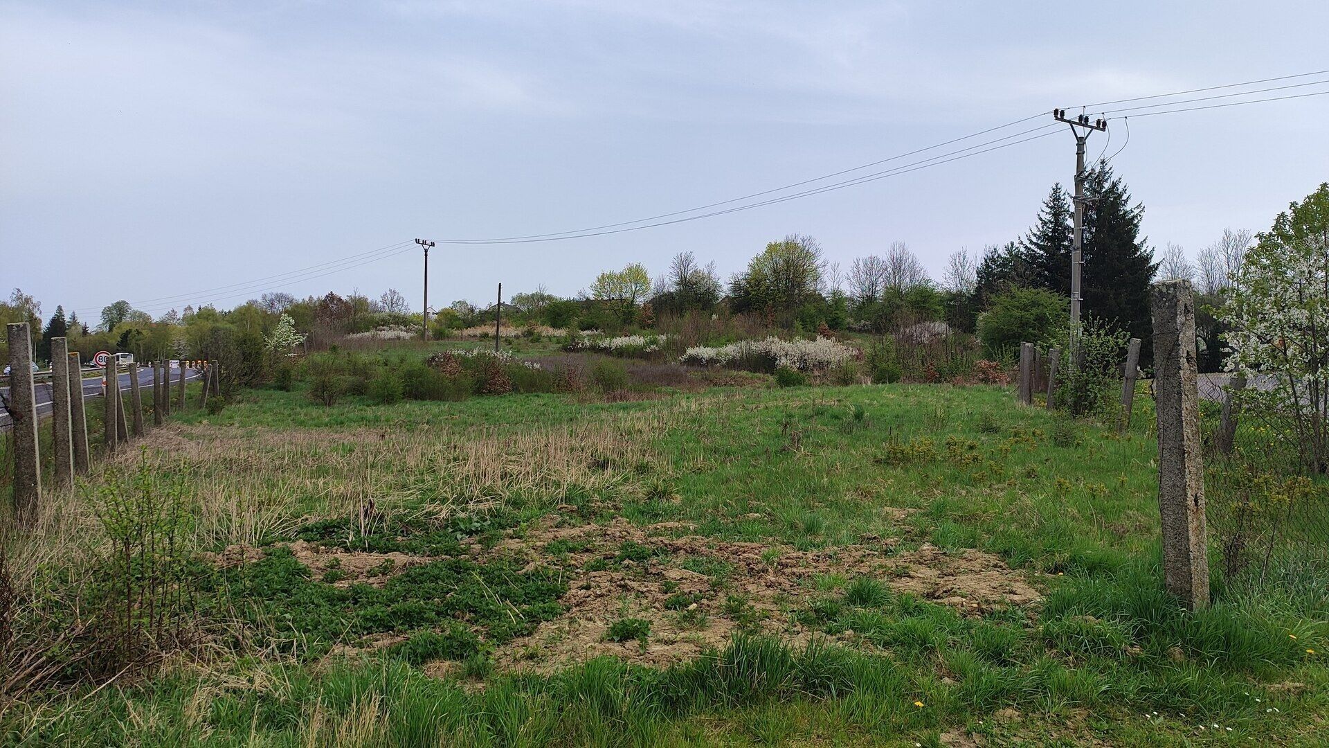 Komerční pozemek · 6 152 m² · Stará cesta, Dalovice Všeborovice - 3