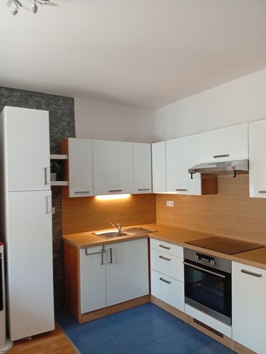 1+kk, Hrušovany u Brna - Hrušovany u Brna, Jihomoravský kraj, 30 m² - 1