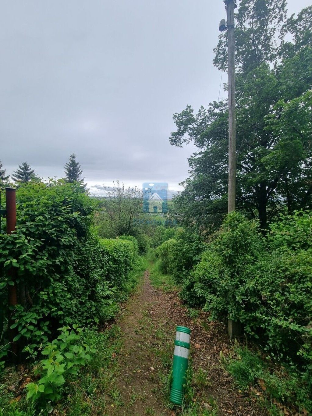 Zahrada · 527 m² · Skopec, Zdiby Brnky - 4