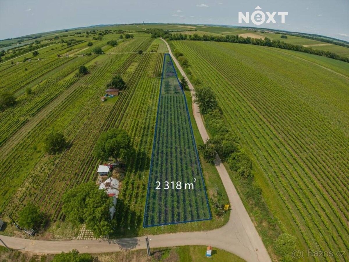 Pozemky pro bydlení, Prušánky, 696 21