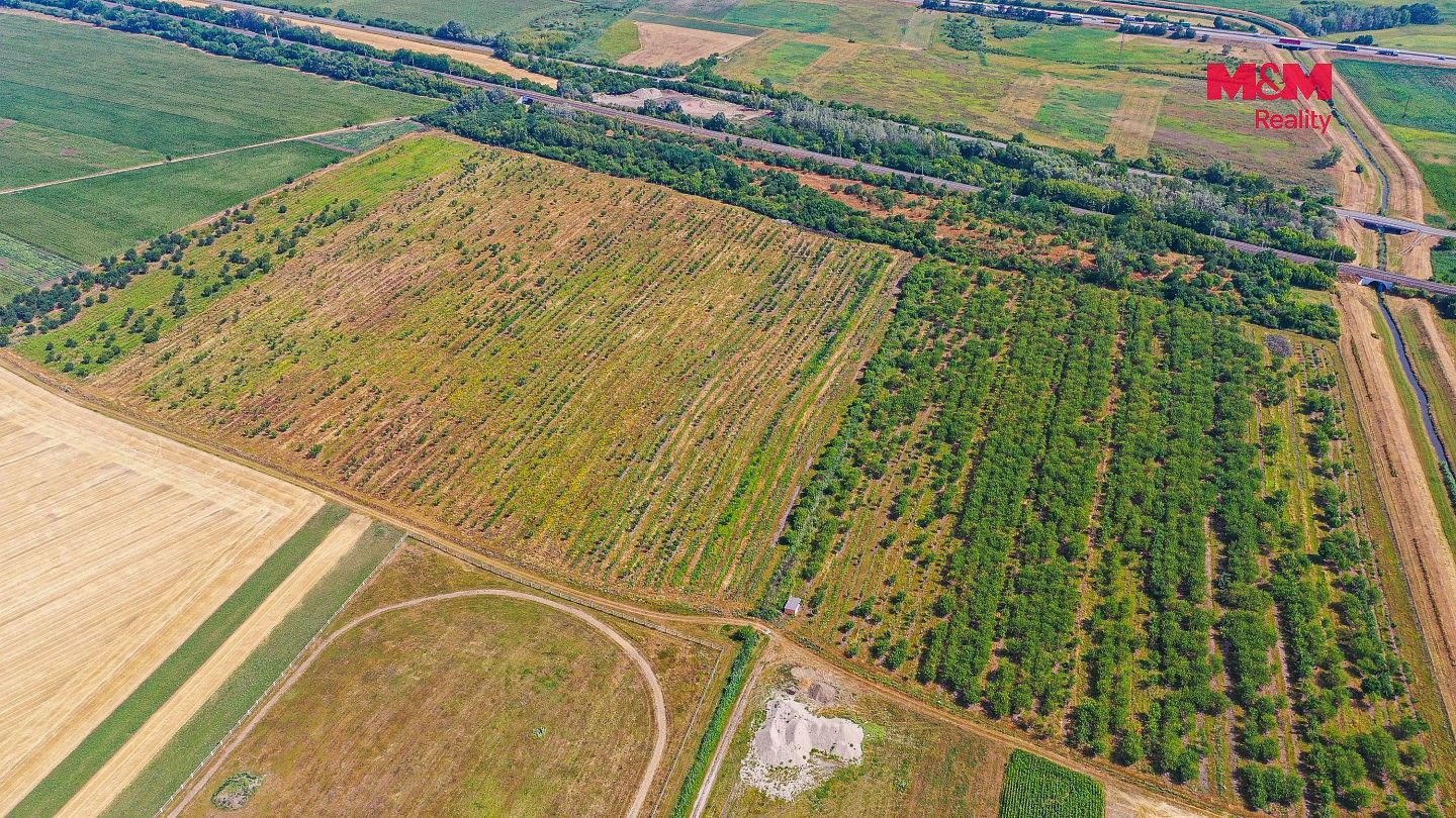 Prodej zemědělský pozemek - Rakvice, okres Břeclav - 5