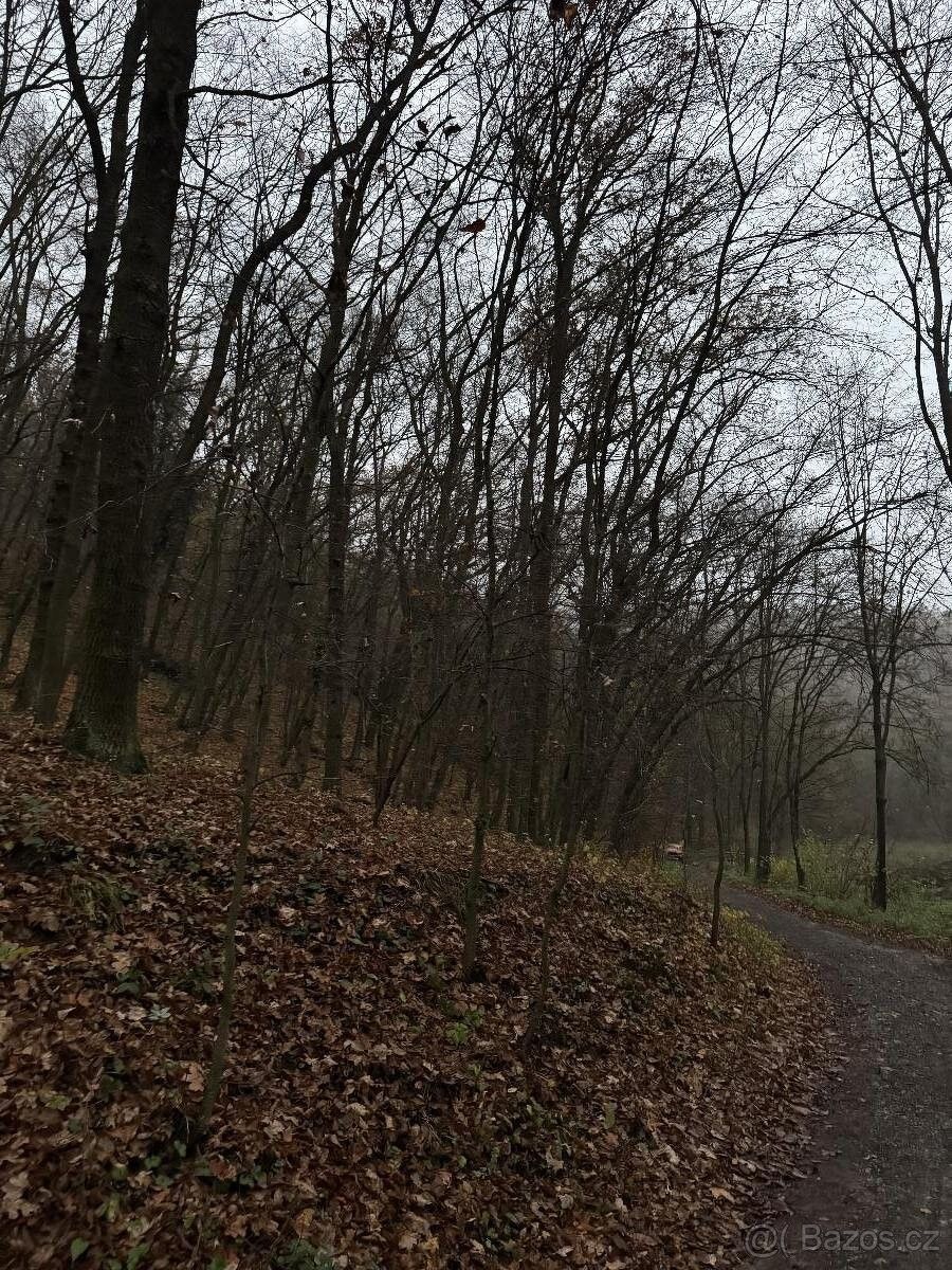 Pozemky pro bydlení, Praha, 154 00