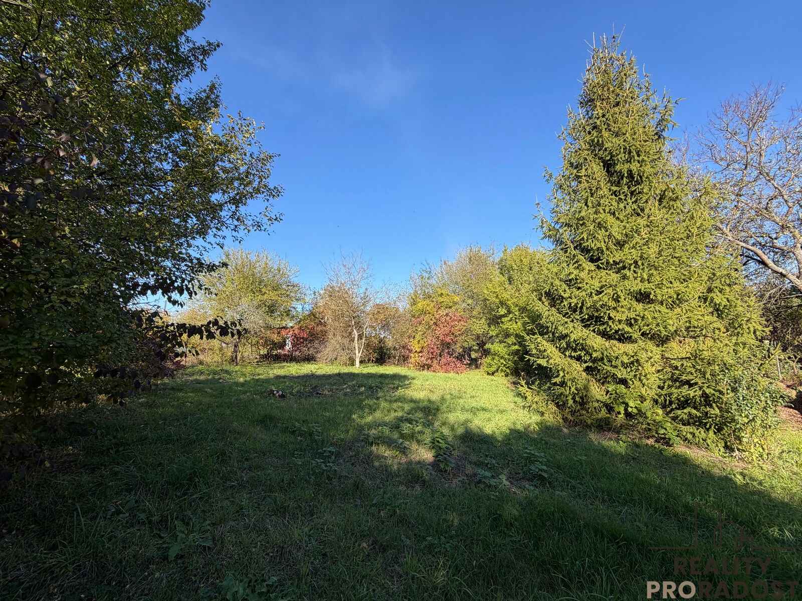 Prodej zahrada - Luční, Havířov Bludovice, 933 m² - 5