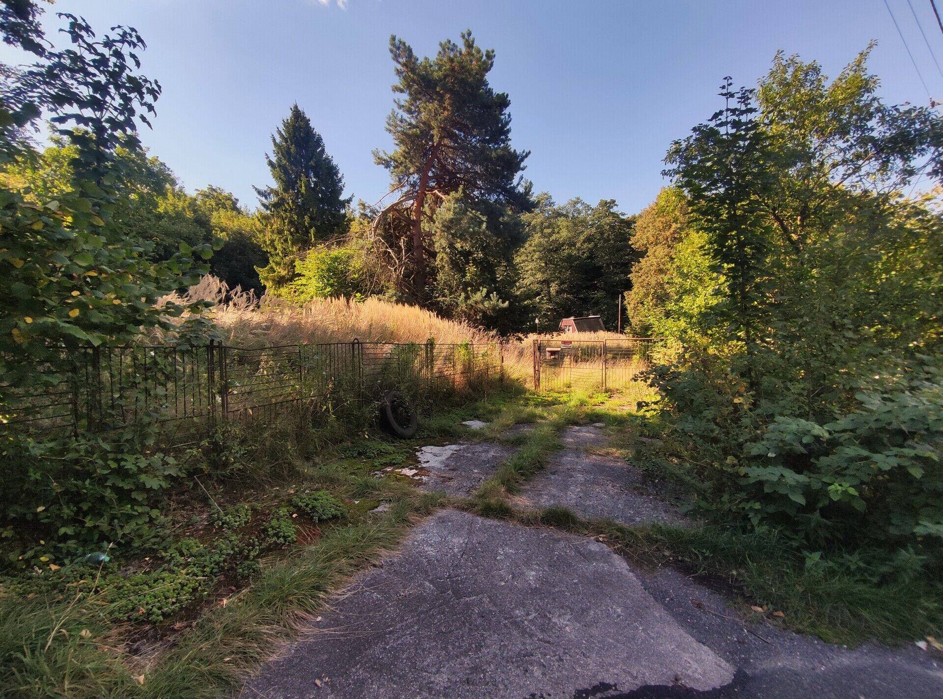 Pronájem zahrada - Podvrší  , Ostrava Radvanice, 3 278 m² - 5
