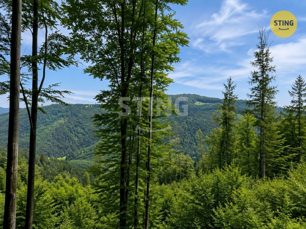 Louky, Košařiska, 6 262 m² - 1