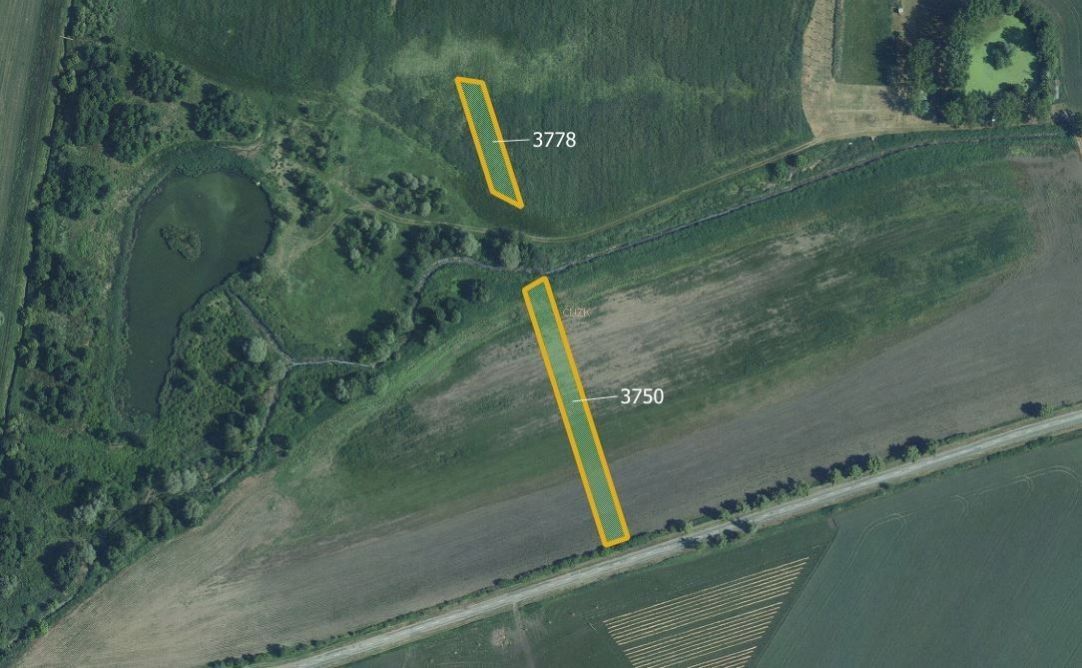 Zemědělské pozemky, Starovičky