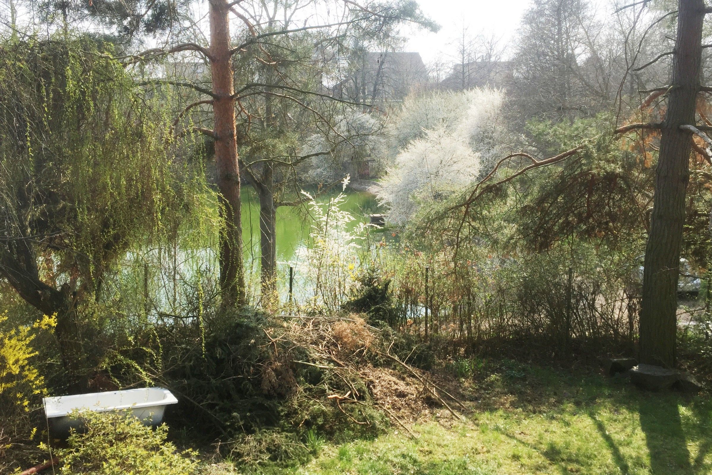 Pozemky pro bydlení, Jenštejn, 725 m²