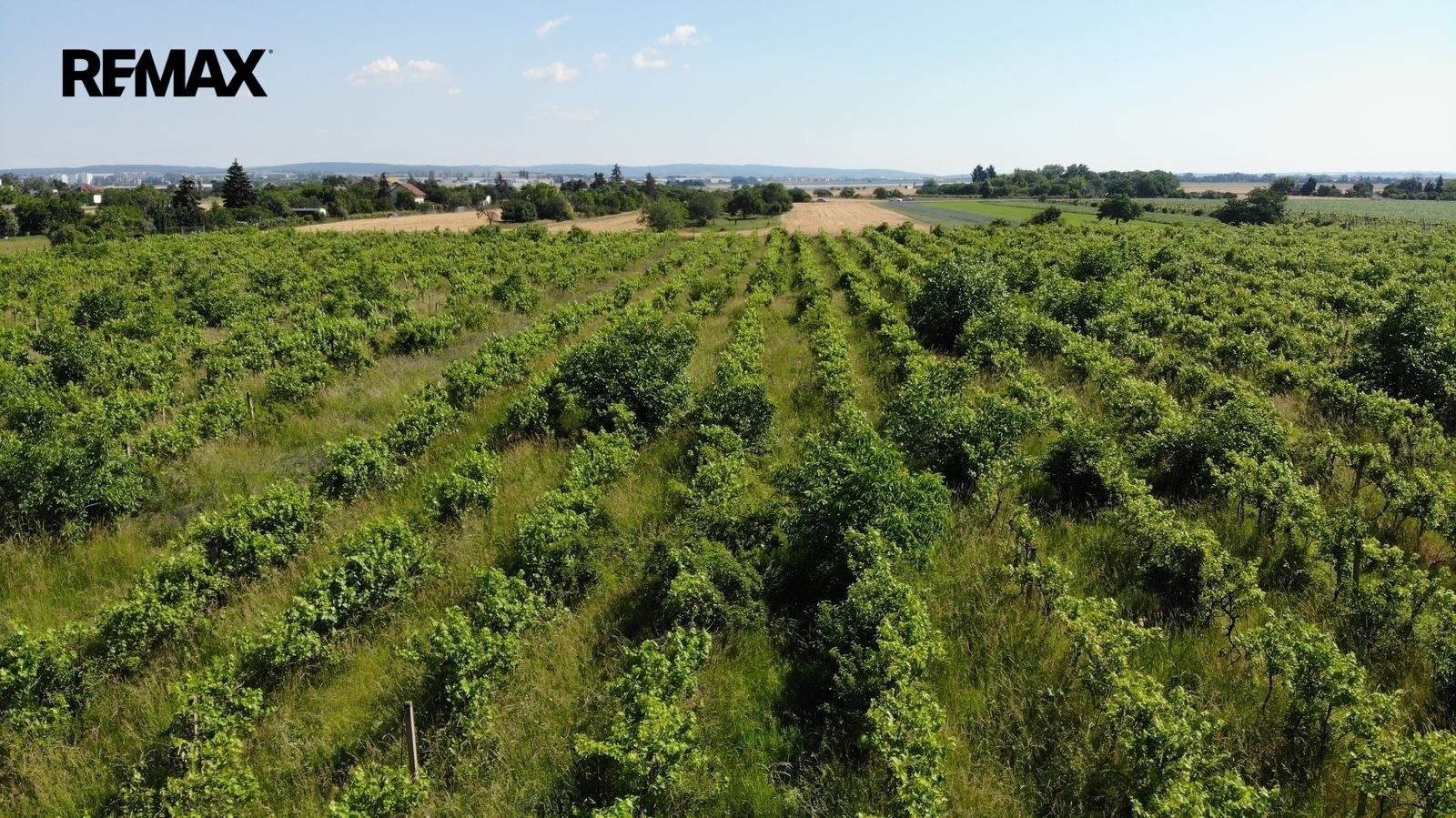 Komerční pozemky, Brno, 2 465 m² - 2