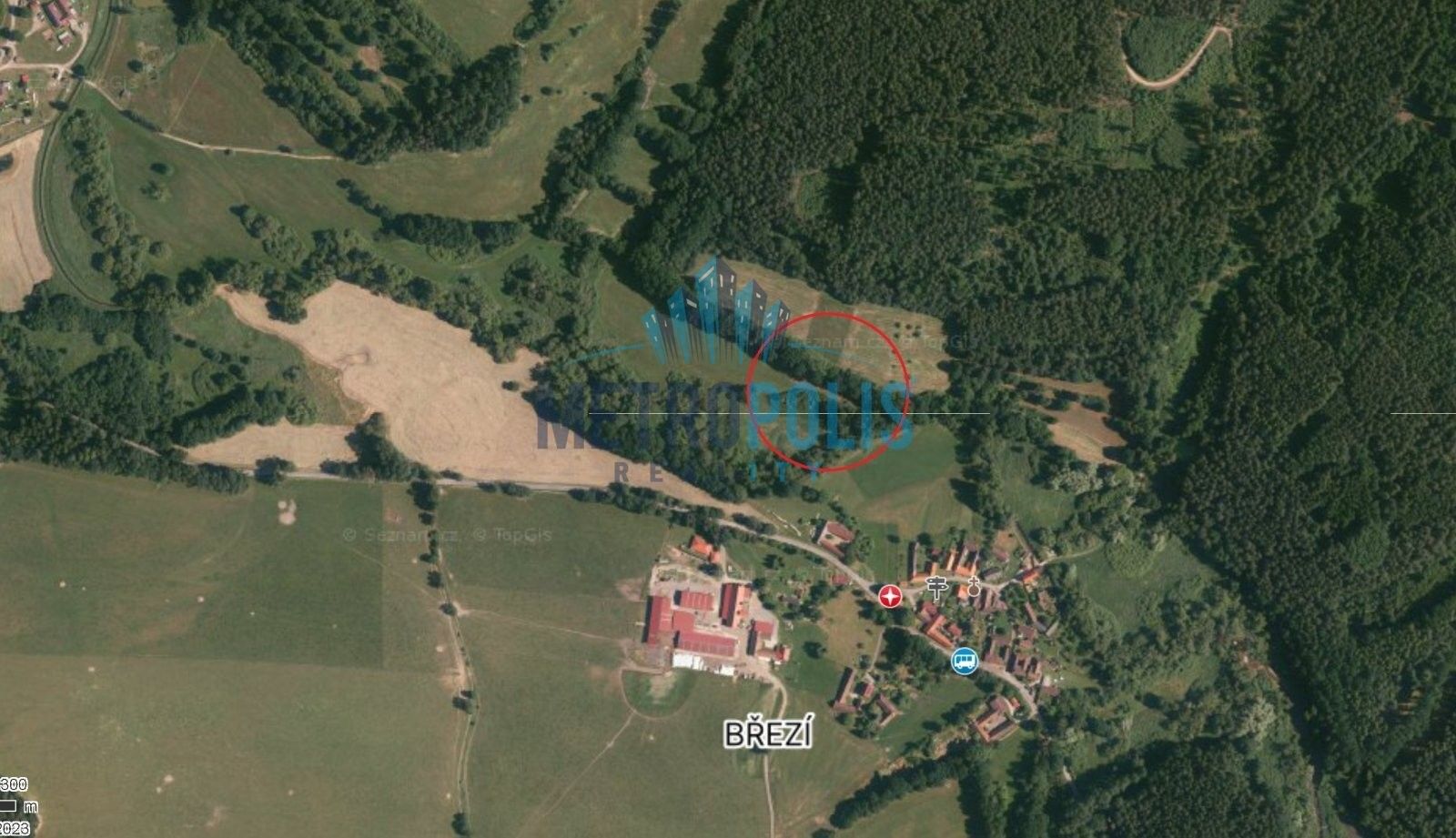 Zemědělské pozemky, Březí, Trhové Sviny, 1 336 m² - 1
