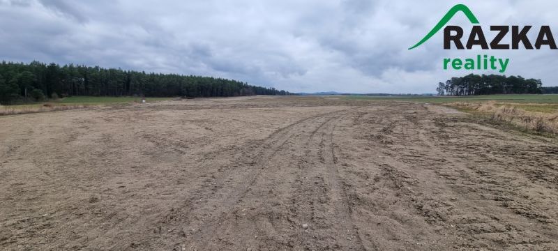 Prodej zemědělský pozemek - Tisová