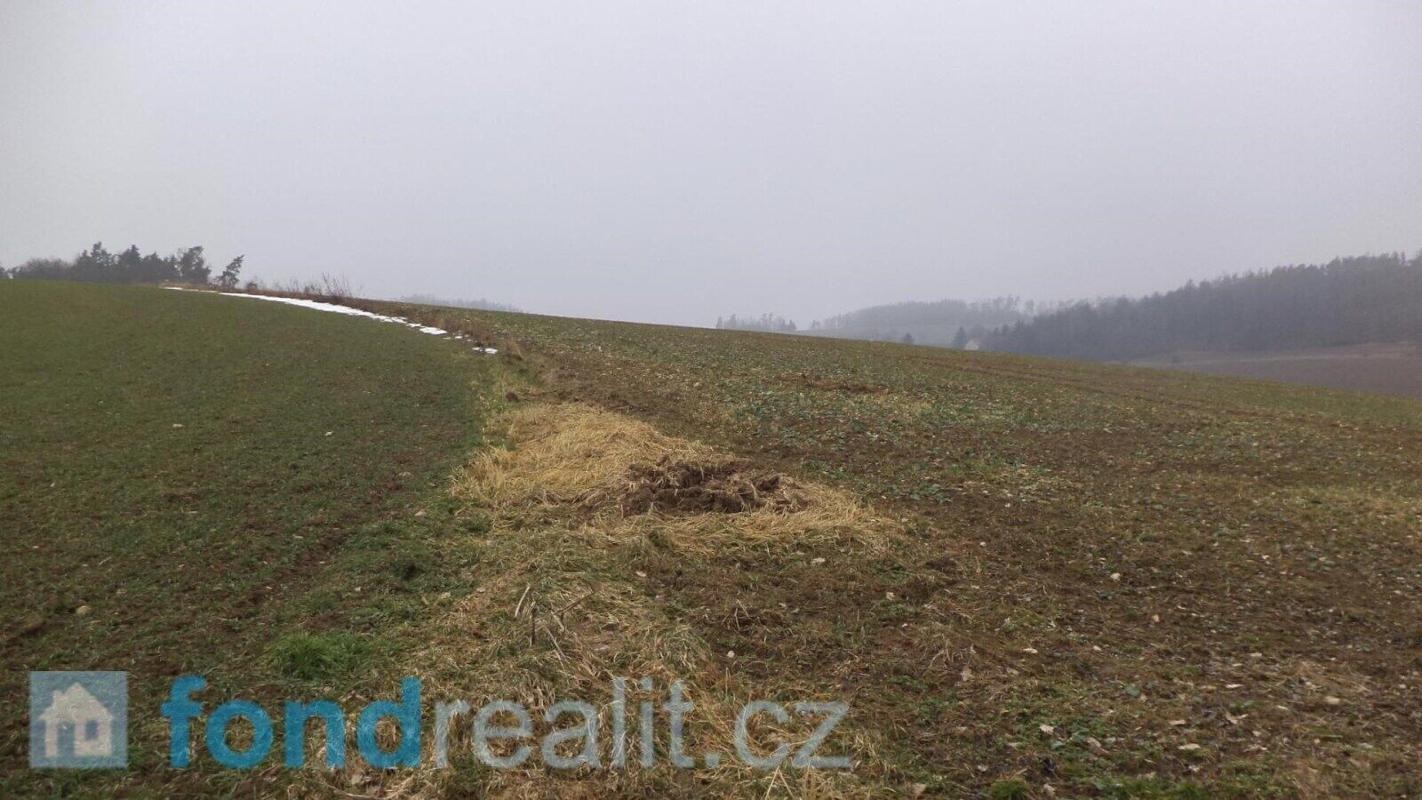 Prodej zemědělský pozemek - Zvěstov, 41 964 m² - 5