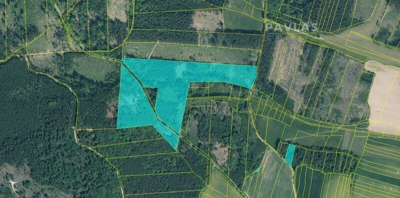 Prodej pozemek pro bydlení - Bernartice u Milevska, 398 43