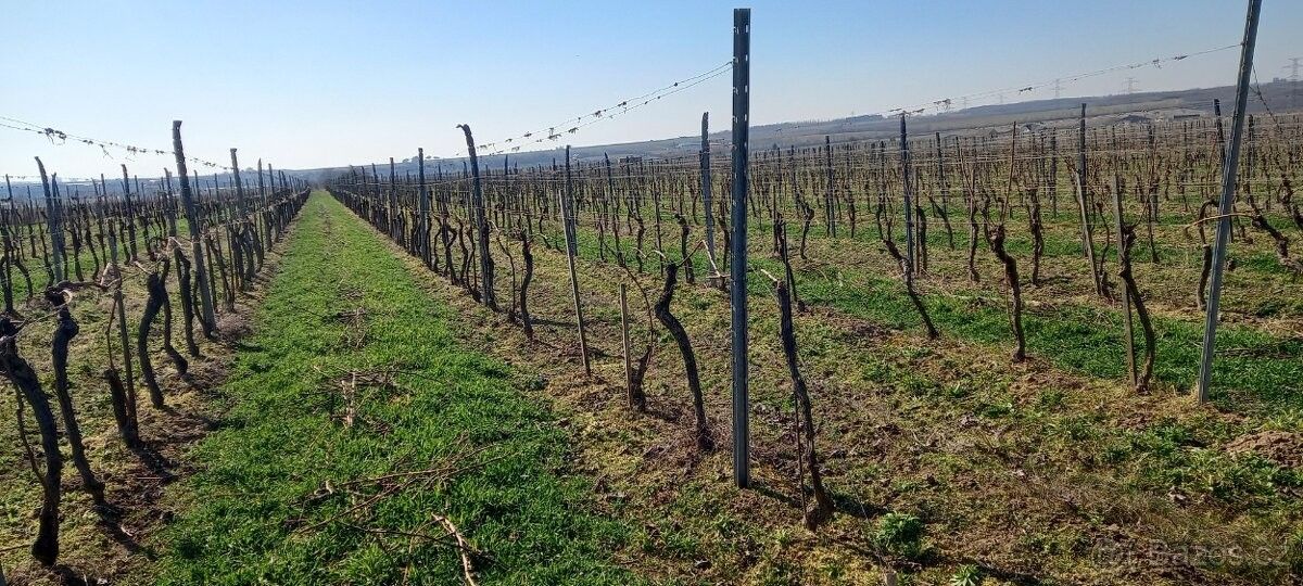 Prodej pozemek pro bydlení - Prosiměřice, 671 61