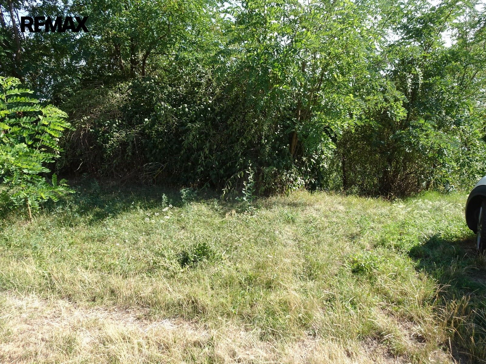Prodej ostatní - Hodonice, 30 m² - 5