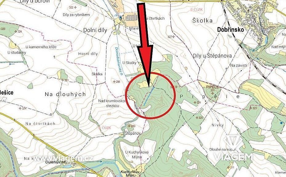 Les · Rybníky, okres Znojmo, Jihomoravský kraj - 4