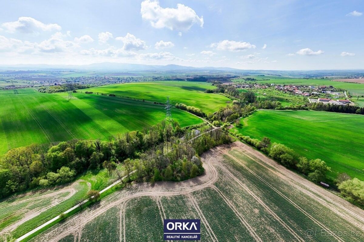 Prodej pozemek pro bydlení - Soběchleby, 753 54