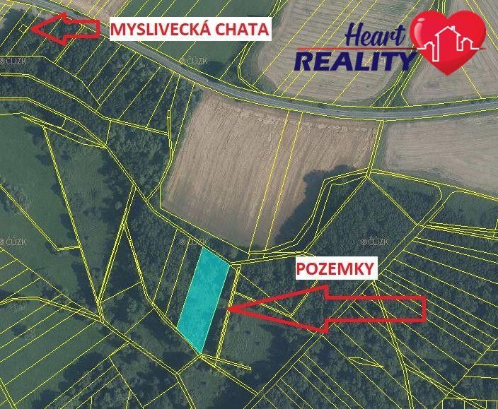 Prodej les - Hlučínská, Kravaře, 3 123 m²