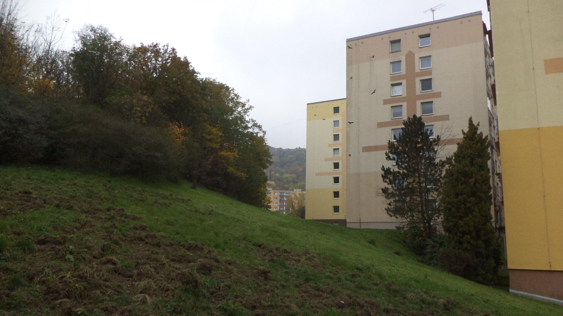 Ostatní, Ústí nad Labem Mojžíř, 14 780 m² - 1
