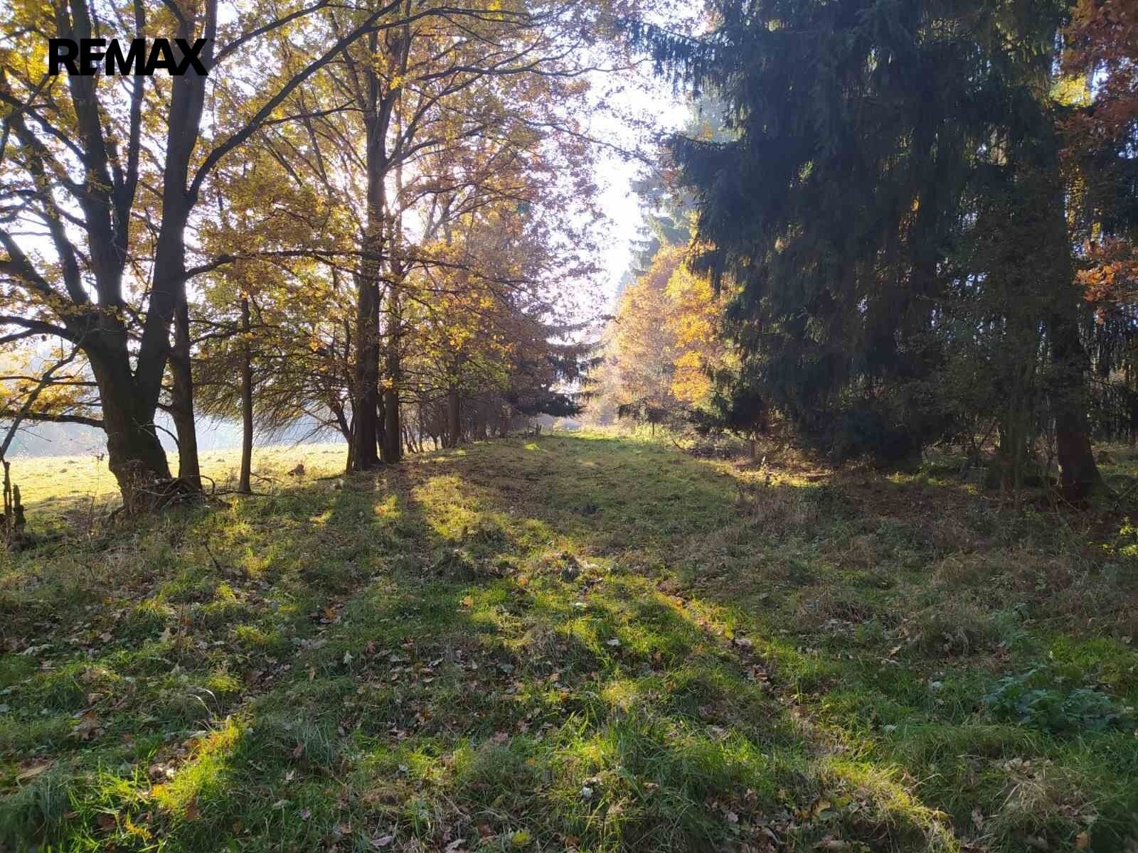 Louka · 20 332 m² · Kynšperk nad Ohří - 3