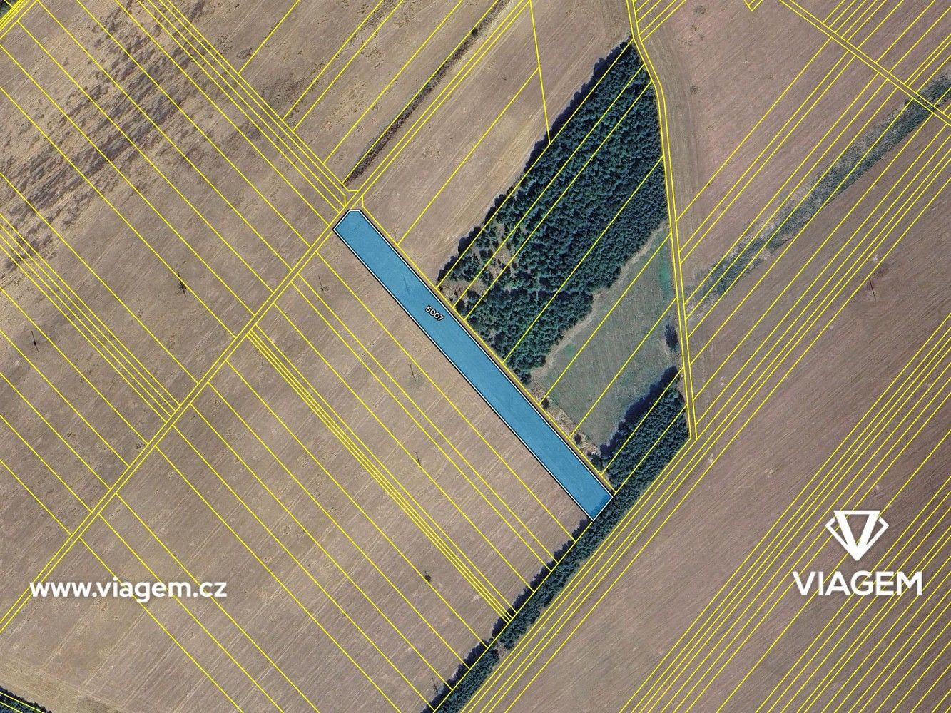 Zemědělský pozemek · Tvarožná Lhota, okres Hodonín, Jihomoravský kraj - 4