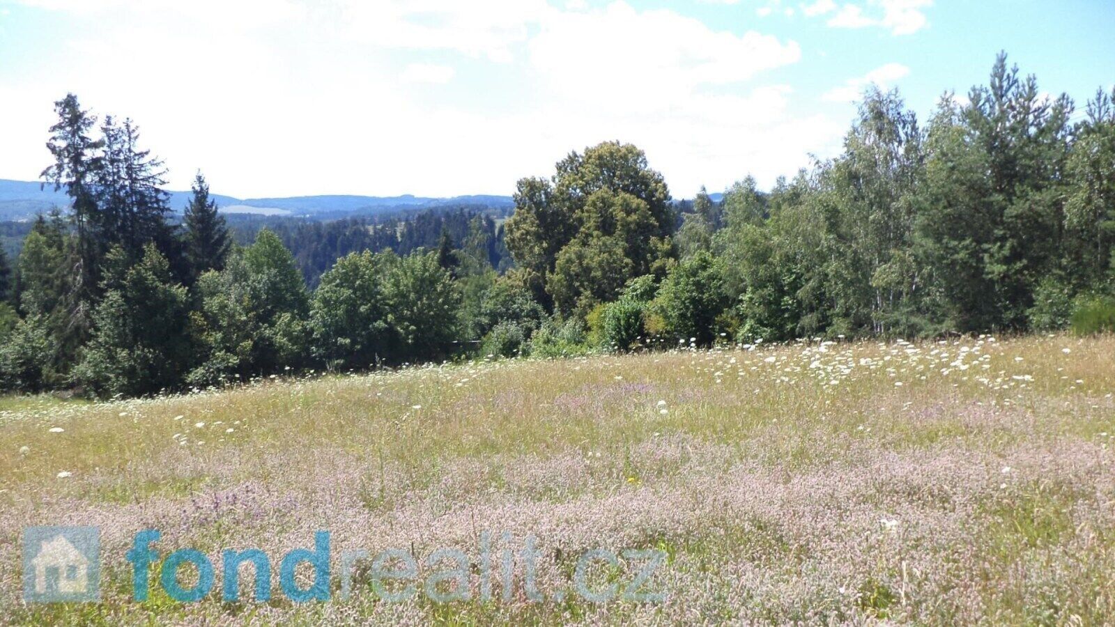 Zemědělský pozemek · 13 471 m² · Přídolí Všeměry - 4