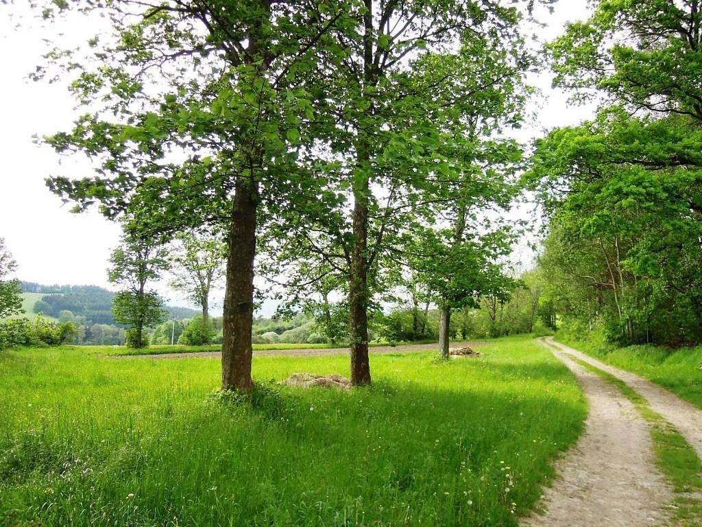 Chata · Nýrsko - Blata, Plzeňský kraj - 3