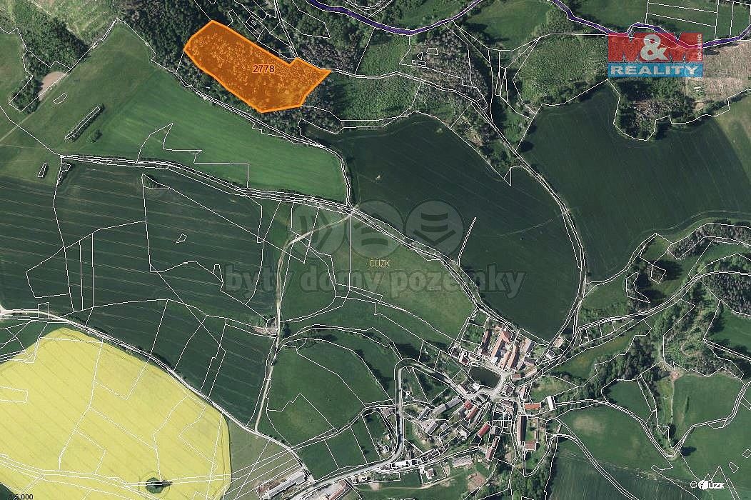Les · Brtnice, okres Jihlava, Kraj Vysočina - 3