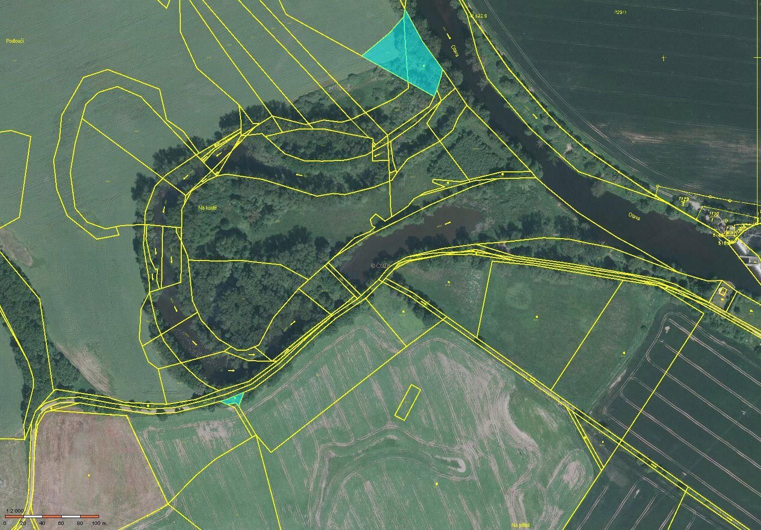 Prodej louka - Čejetice, 10 822 m²