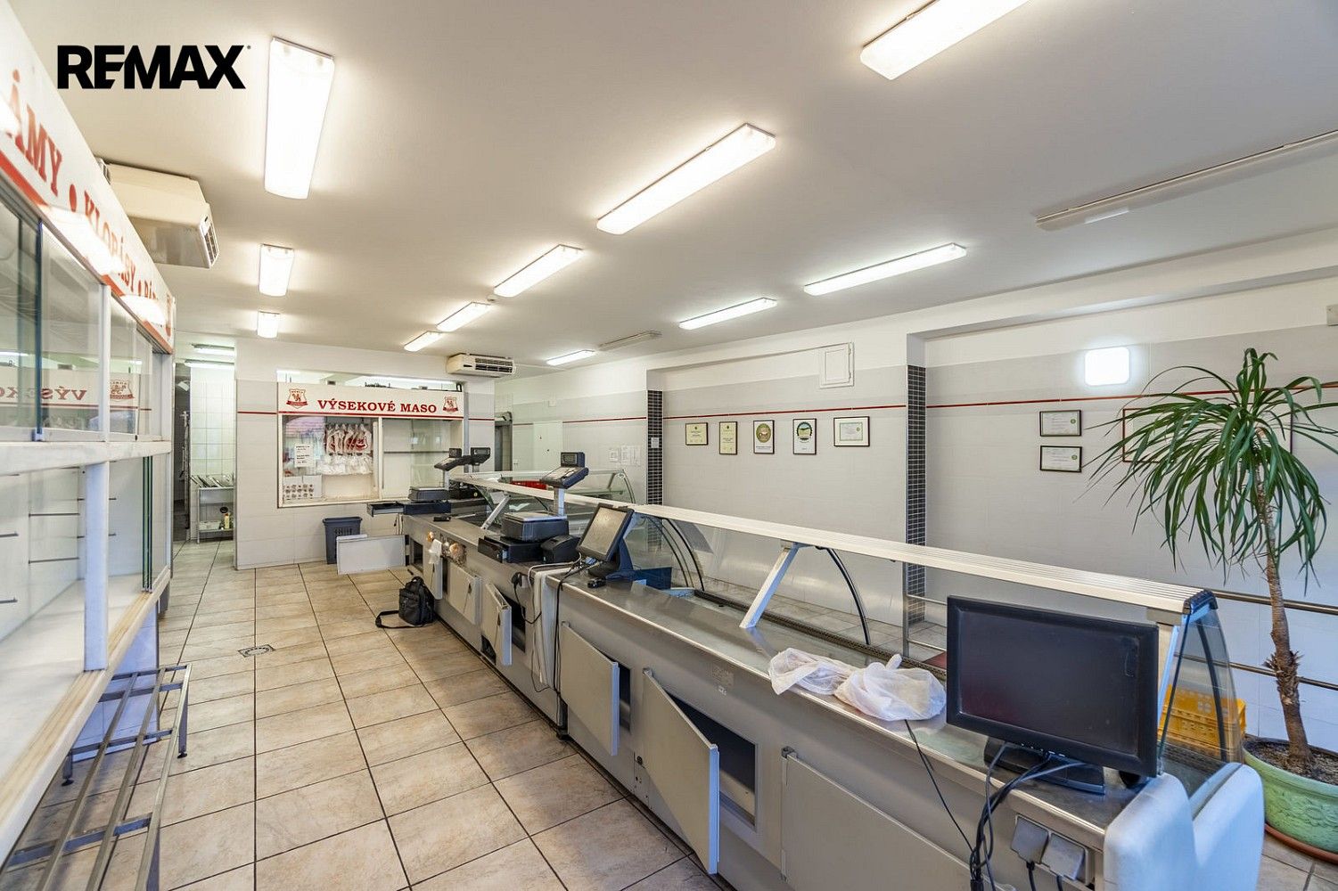 Výrobní prostory · 1 263 m² · Brno - Tuřany, okres Brno-město, Jihomoravský kraj - 4