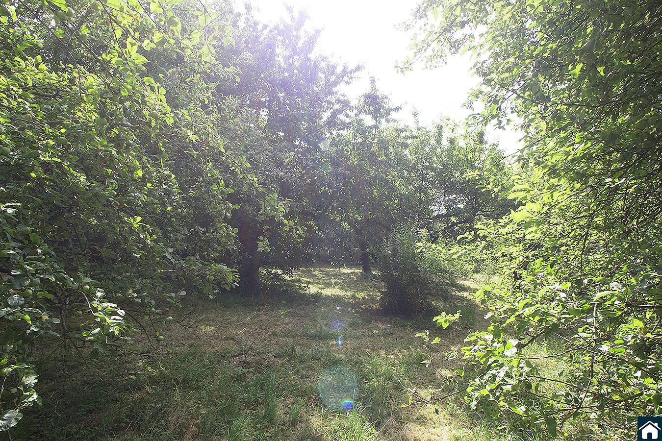 Prodej pozemek pro bydlení - Kaliště, 2 233 m² - 5