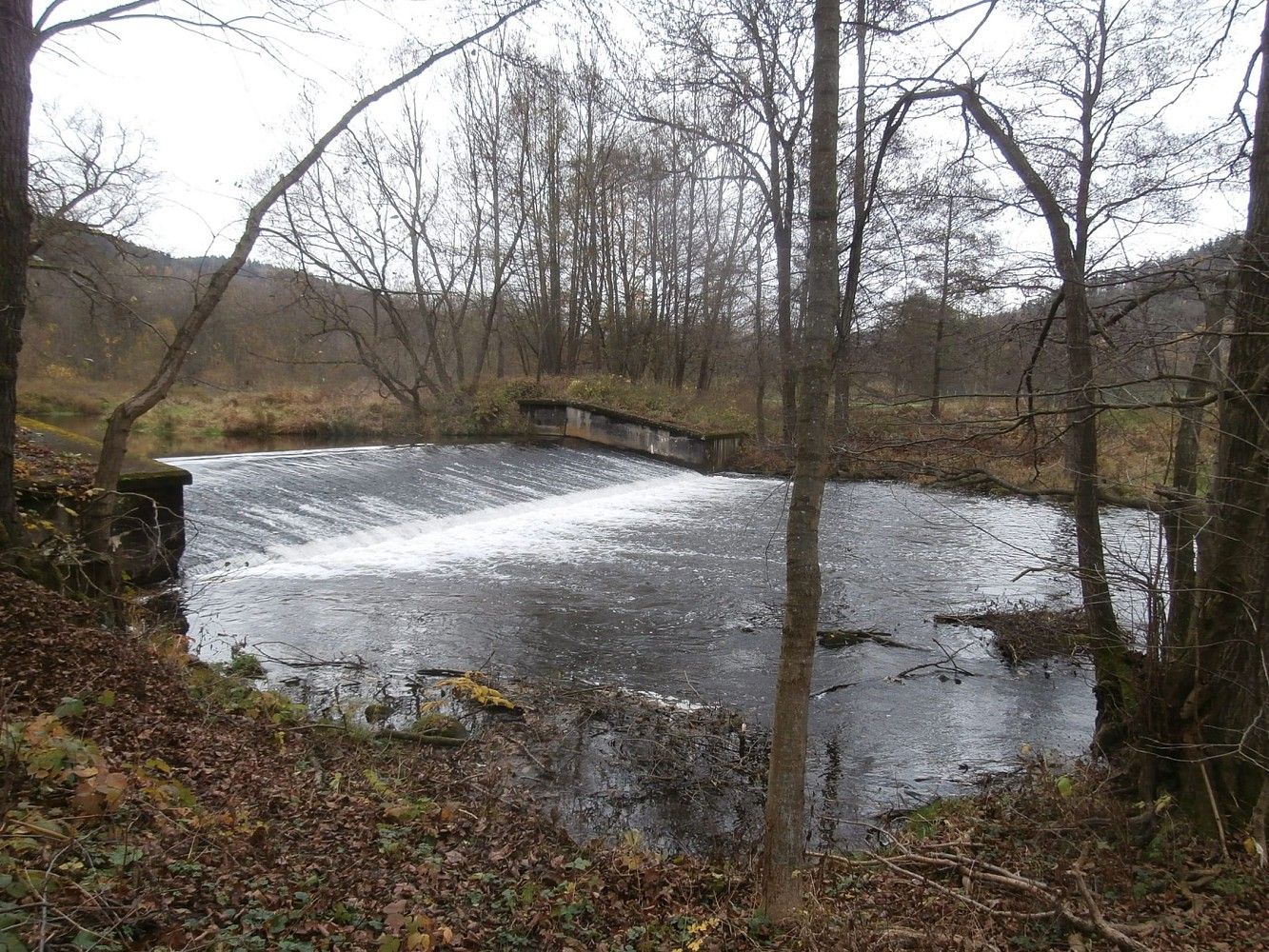 Prodej louka - Doubravník, okres Brno-venkov, Jihomoravský kraj - 5