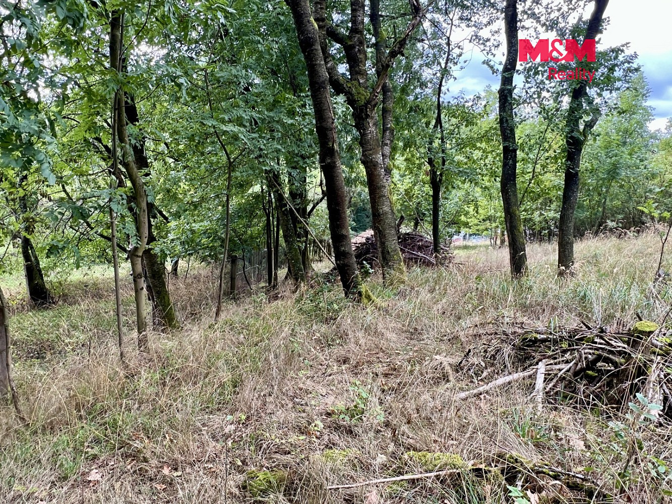 Prodej pozemek pro bydlení - Pyšely - Zaječice, okres Benešov - 5