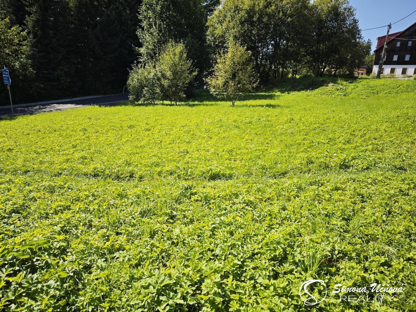 Stavební pozemek, Lučany nad Nisou – další