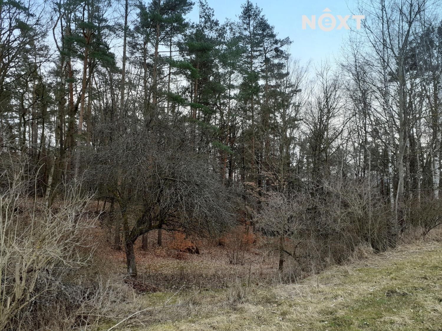 Prodej zahrada - Provodín