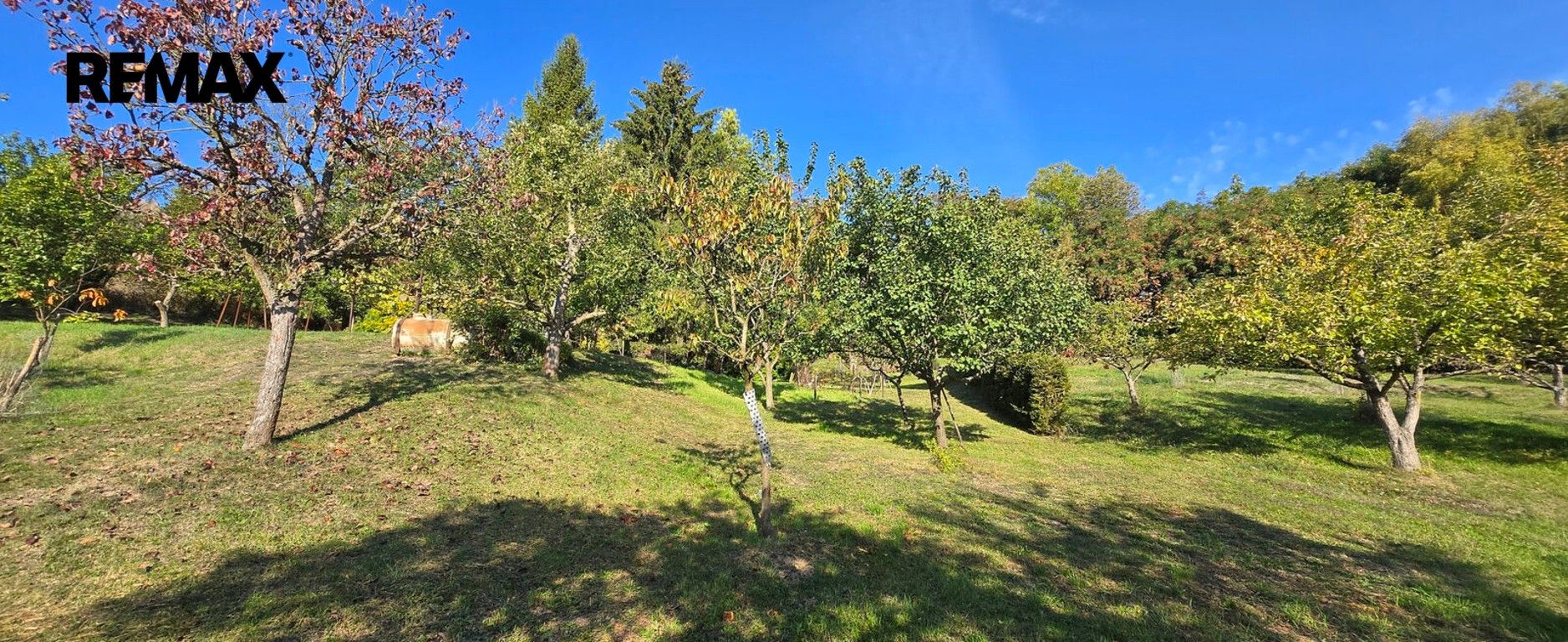 Prodej zahrada - Ročov, 1 622 m² - 5