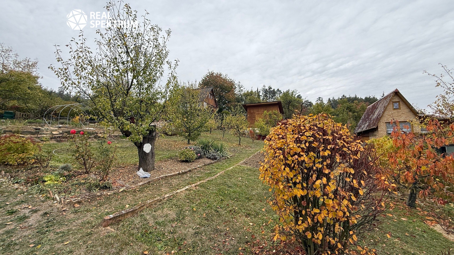 Chata · 20 m² · Čihadlo, Velké Opatovice - 3