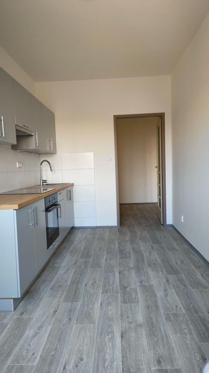 Byt 1+1 · 45 m² · Na Kopečku, Praha - Libeň - 4