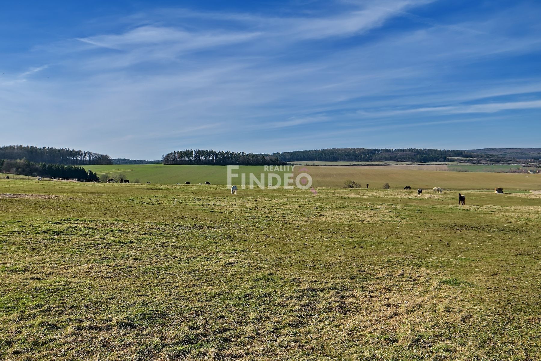 Prodej zemědělský pozemek - Újezd, 2 165 m² - 5
