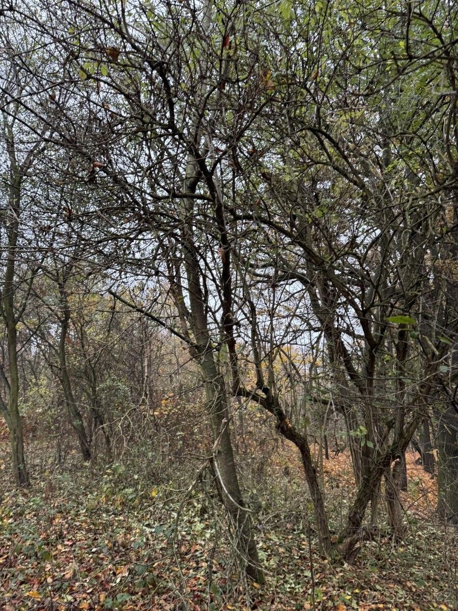 Prodej pozemek pro bydlení - Praha, 154 00