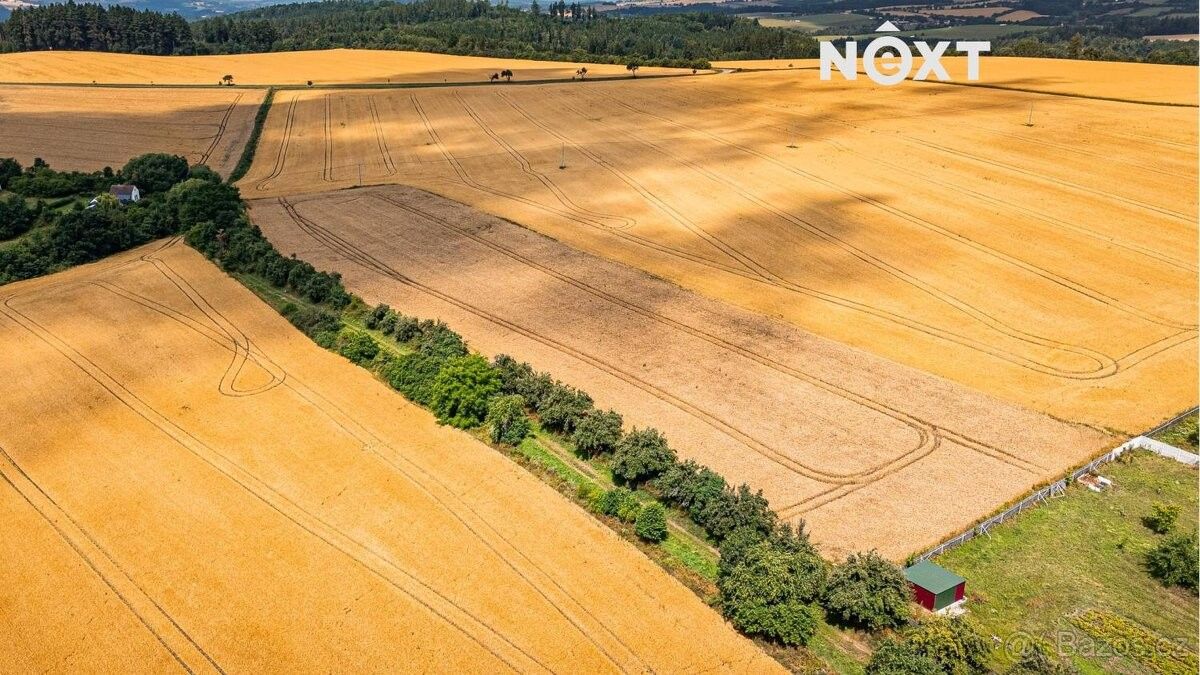 Prodej pozemek pro bydlení - Zruč nad Sázavou, 285 22